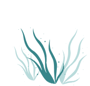 Seaweed