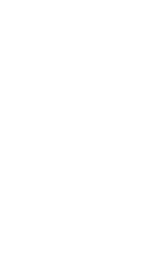 Seaweed