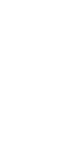 Seaweed